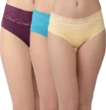 Pack of 3 Women Half Net Multicolor Panty